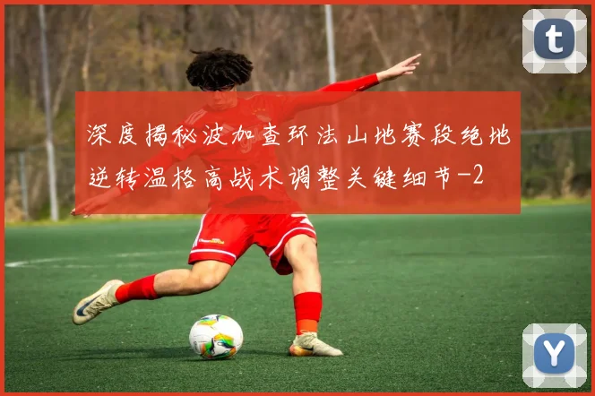 深度揭秘波加查环法山地赛段绝地逆转温格高战术调整关键细节