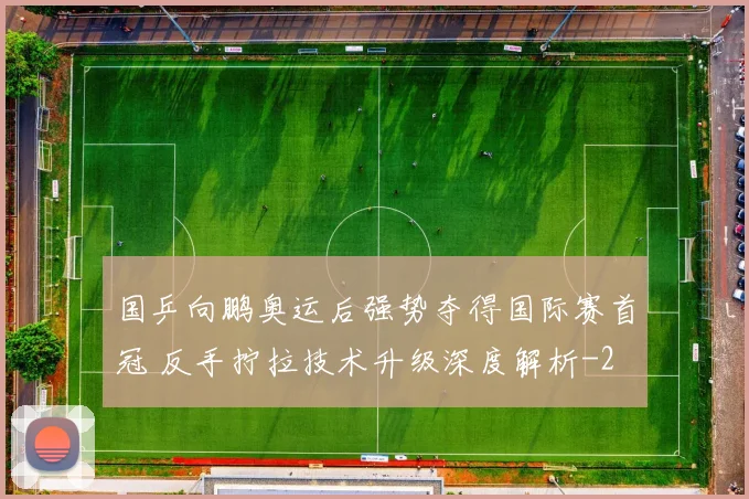 国乒向鹏奥运后强势夺得国际赛首冠 反手拧拉技术升级深度解析