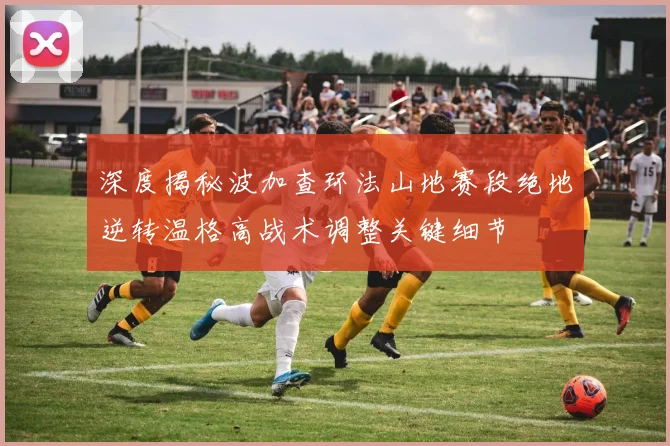 深度揭秘波加查环法山地赛段绝地逆转温格高战术调整关键细节